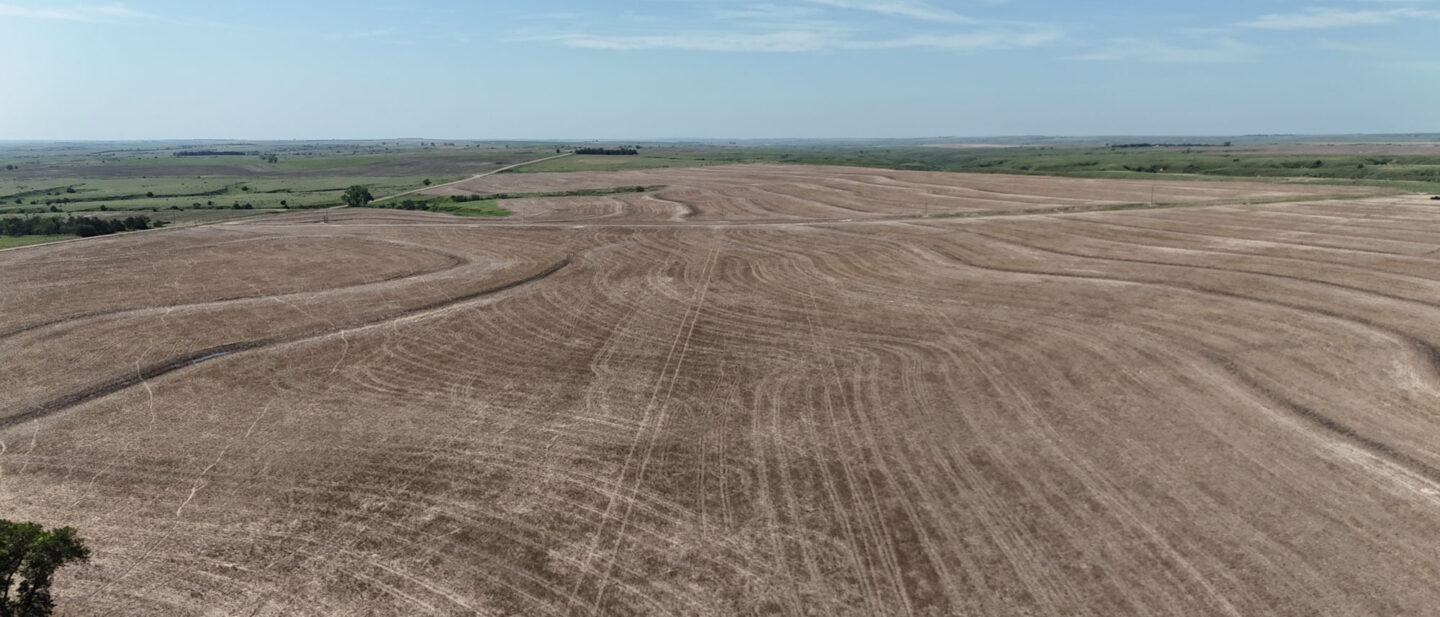 DJI 20250616104355 0594 D