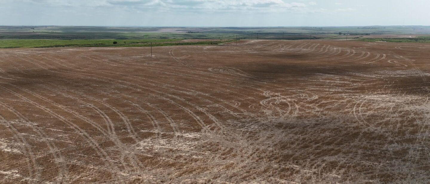 DJI 20250616111312 0620 D