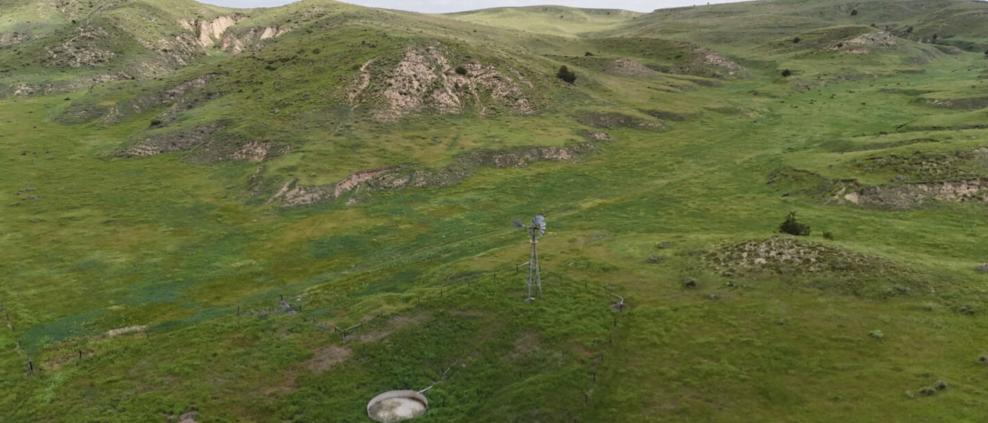 DJI 20250616111822 0633 D