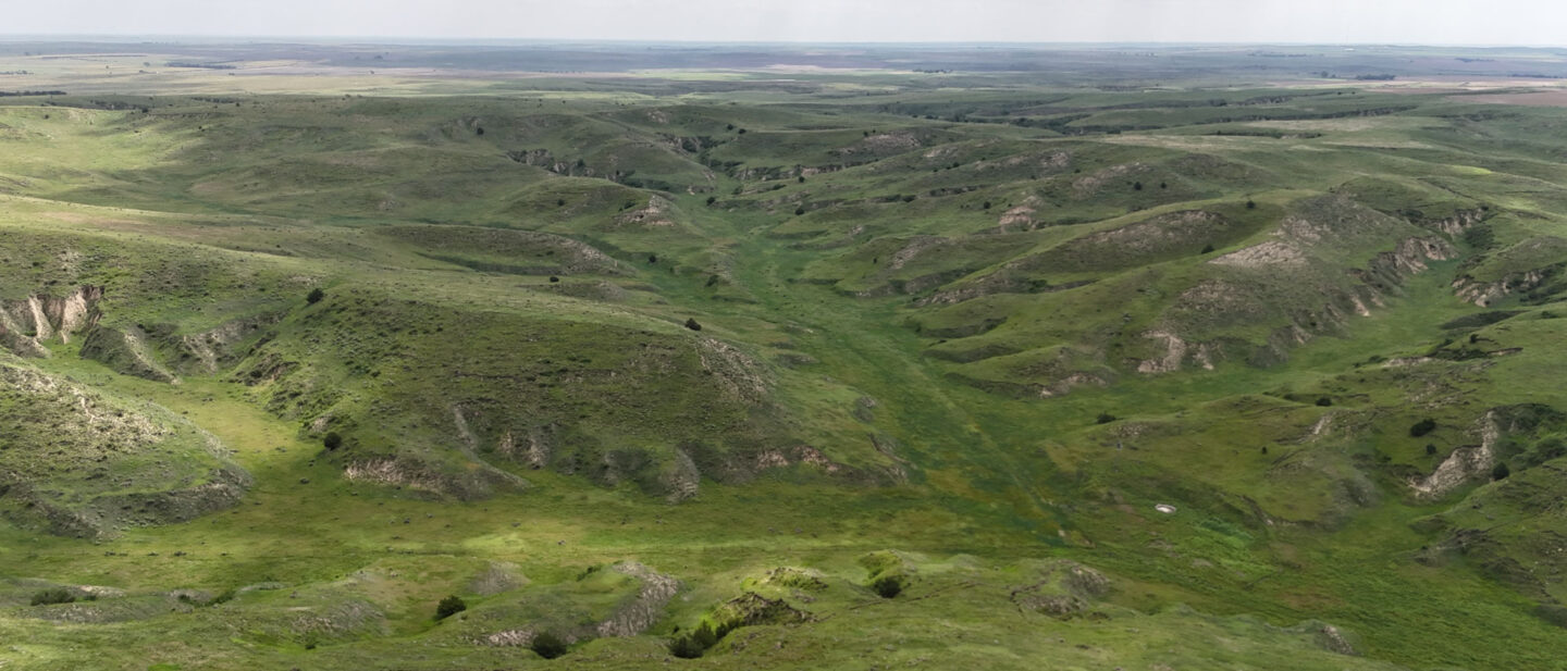 DJI 20250616111953 0639 D
