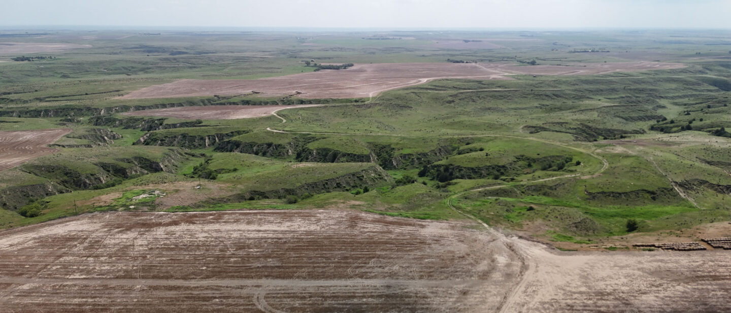 DJI 20250616113047 0669 D