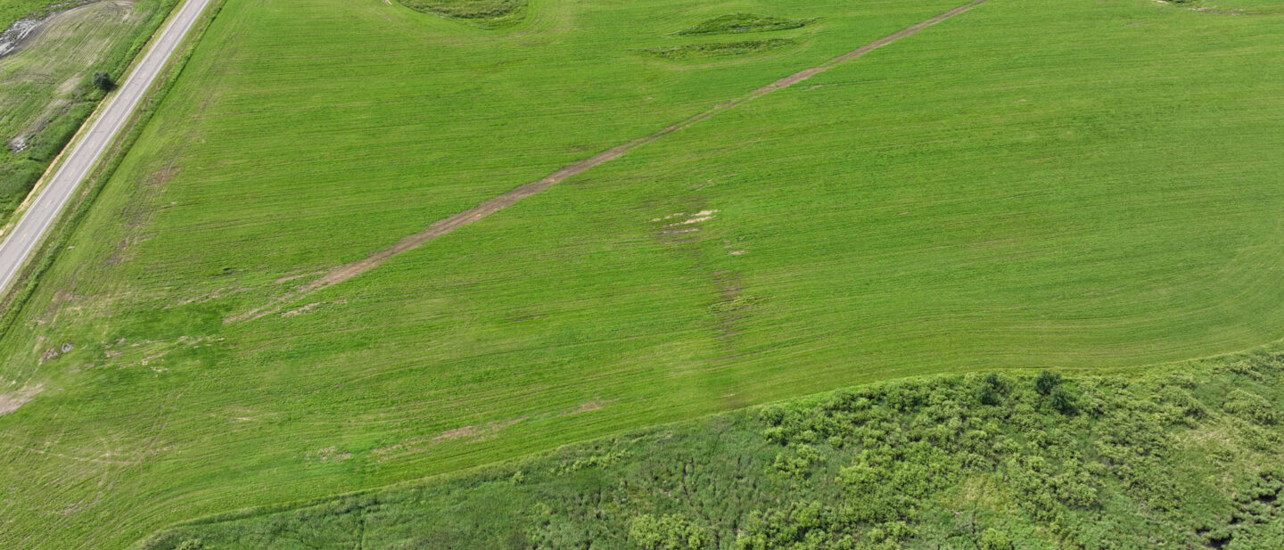 DJI 20250704105441 0003 V