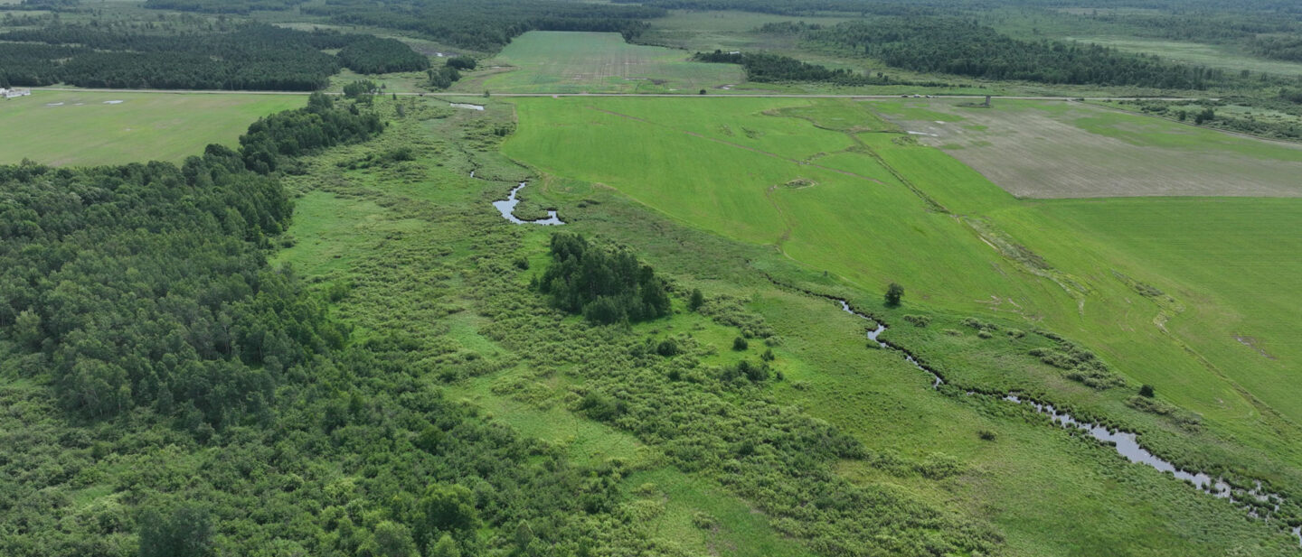 DJI 20250704105739 0012 V