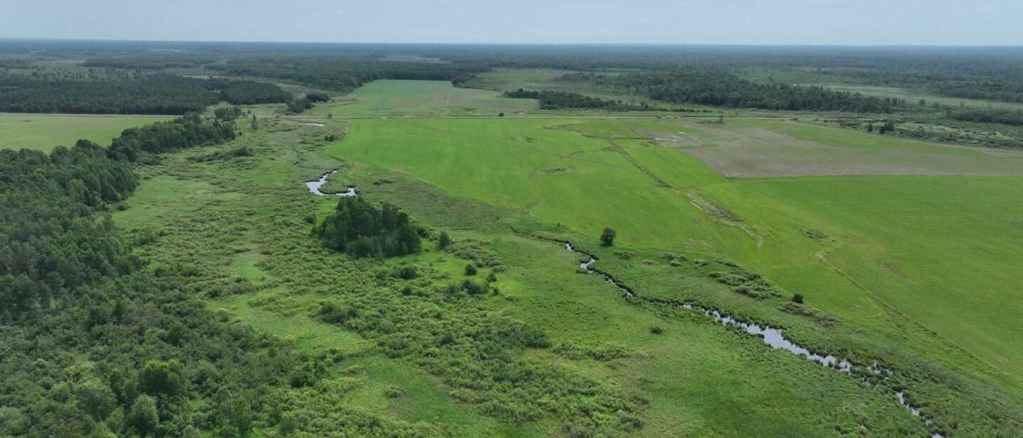 DJI 20250704105753 0013 V
