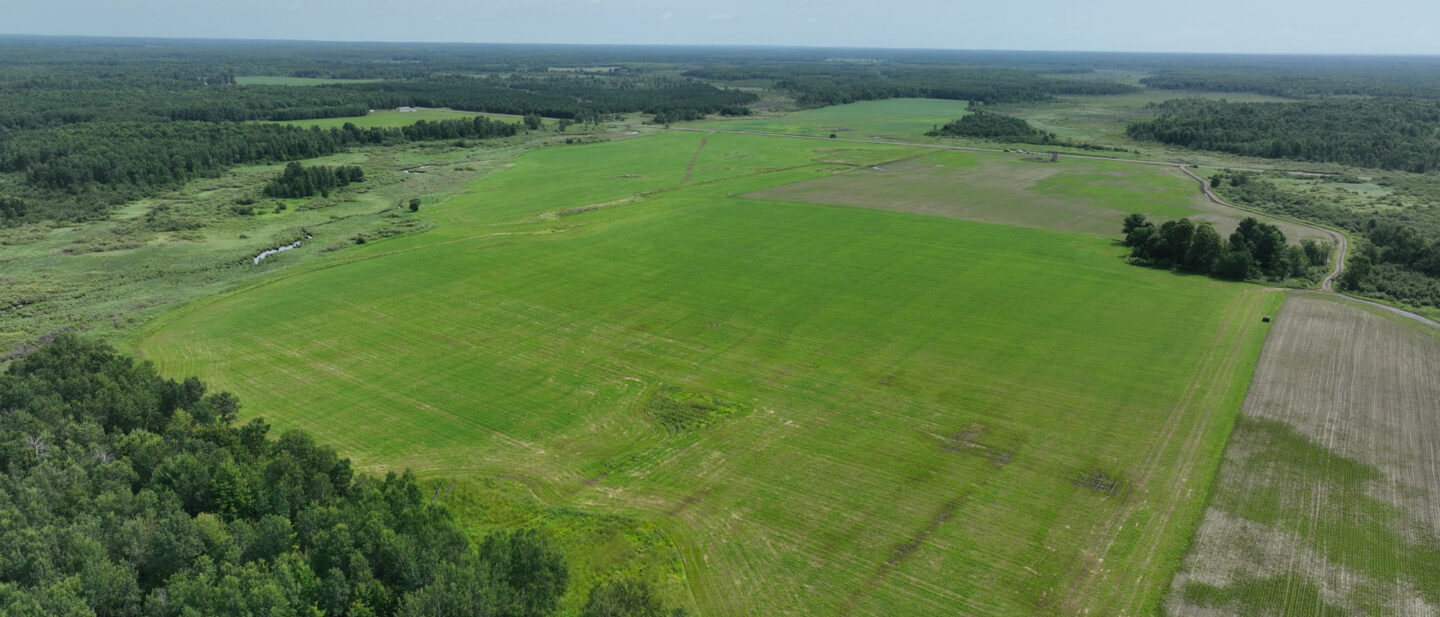 DJI 20250704105923 0016 V