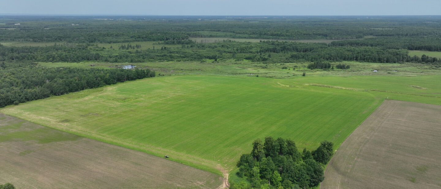 DJI 20250704110047 0018 V