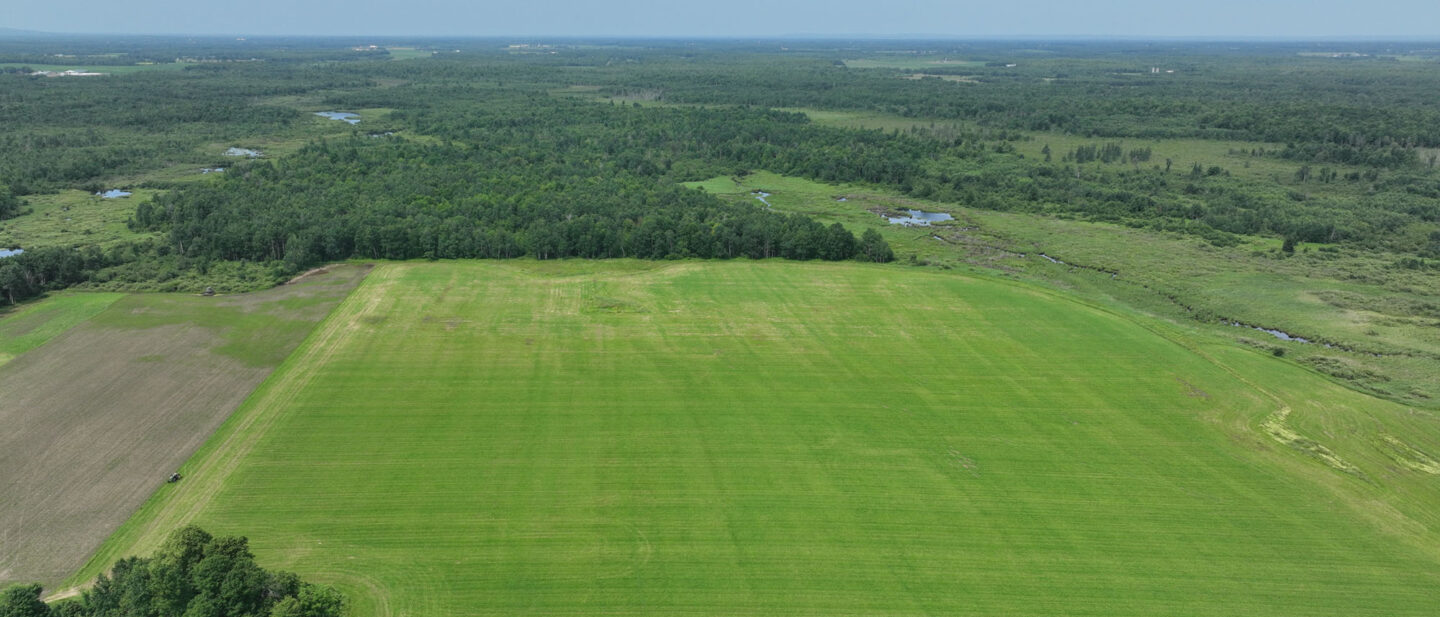 DJI 20250704110145 0020 V
