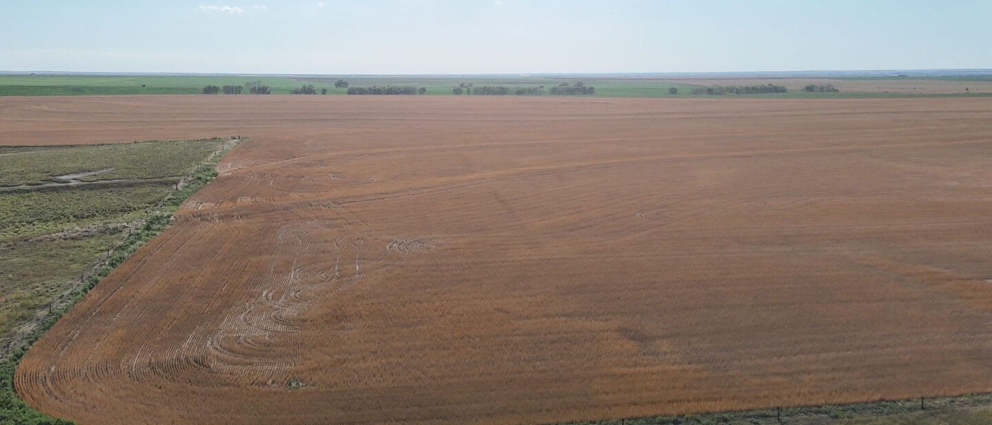DJI 20250705183631 0403 D