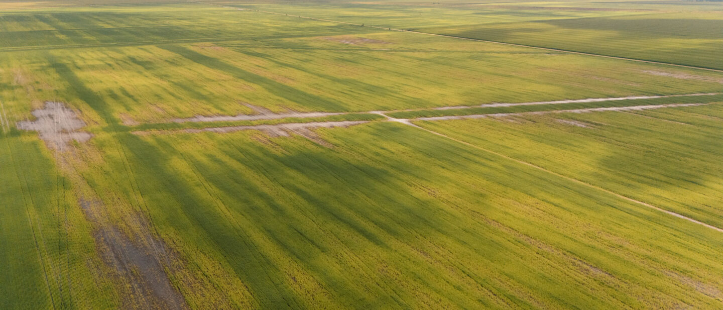 DJI 20250730105635 0061 D