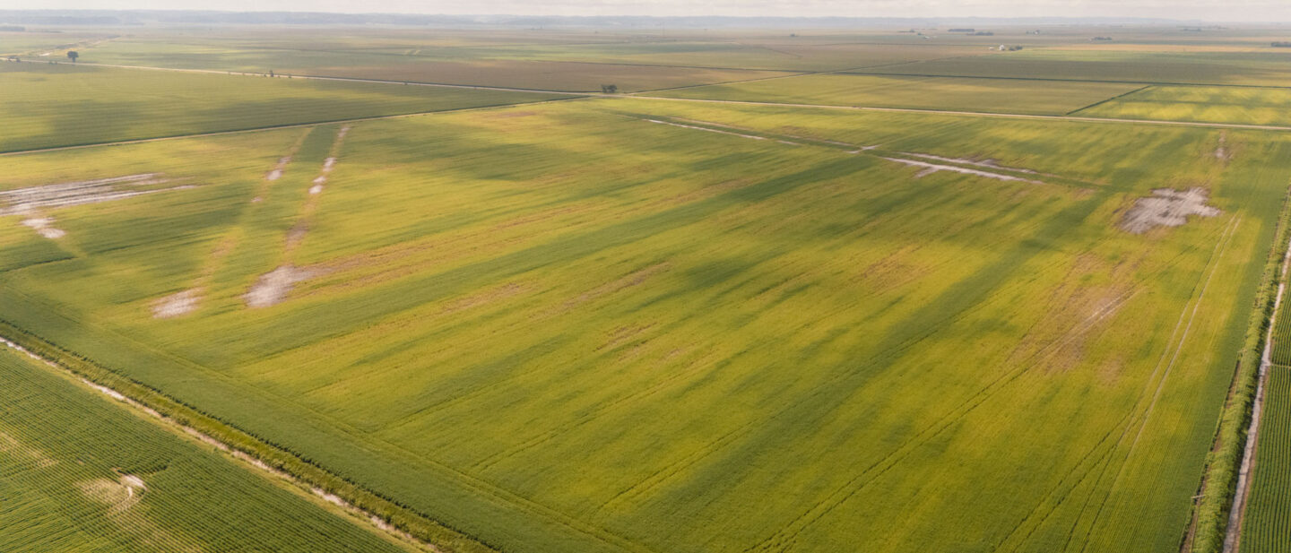 DJI 20250730110008 0064 D