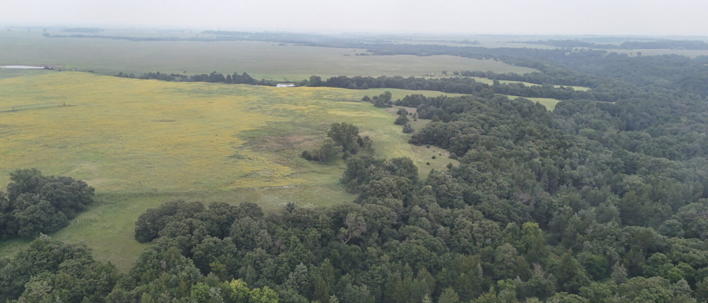 DJI 20250731145700 0835 D