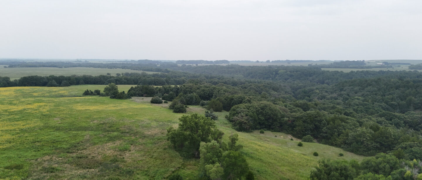 DJI 20250731145721 0837 D