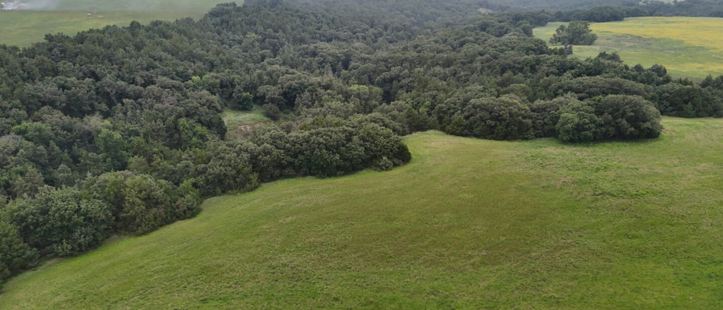 DJI 20250731150014 0857 D