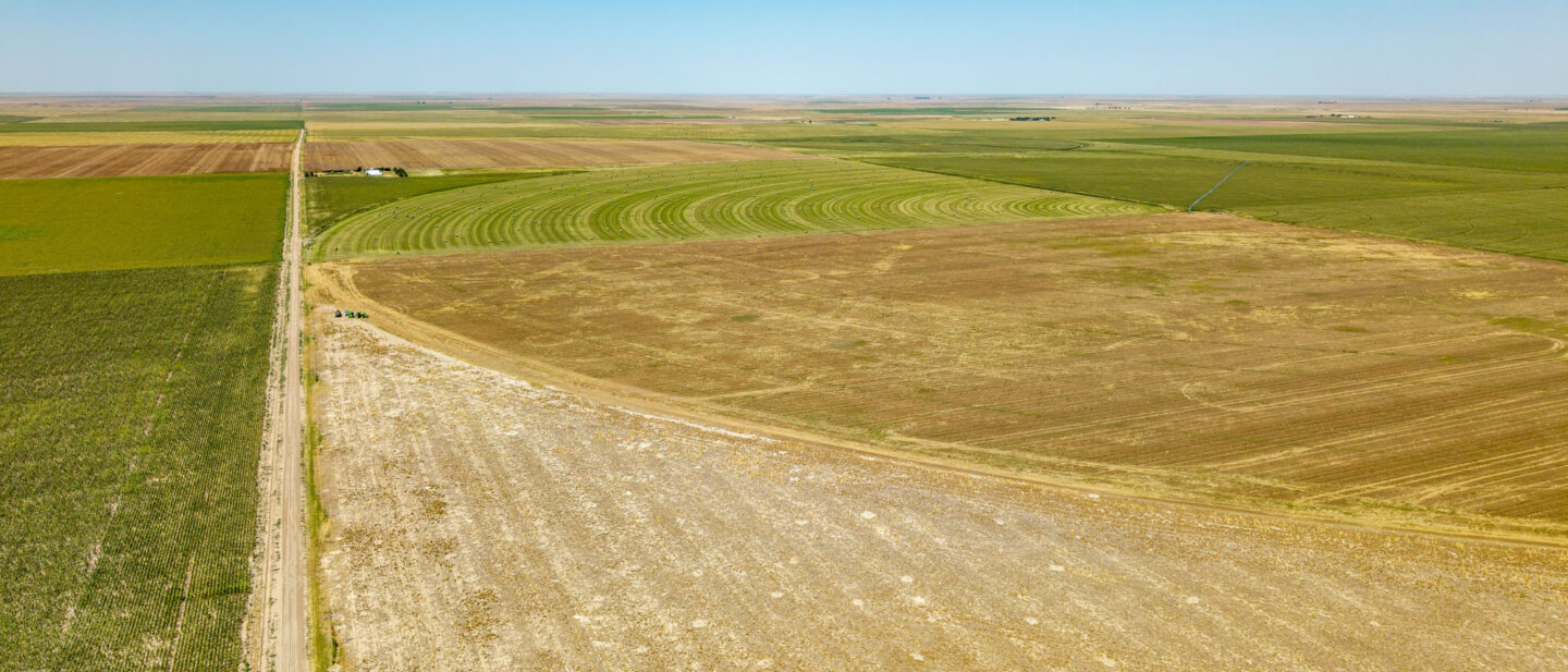 DJI 20250819132651 0252 D