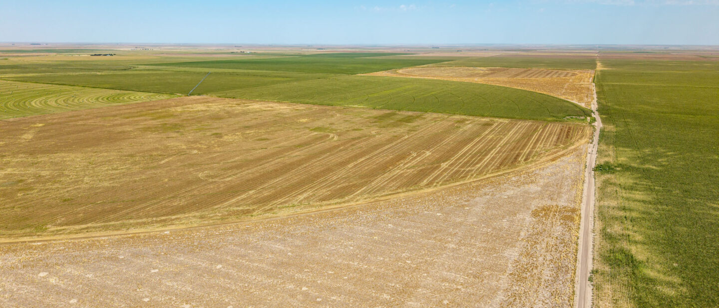 DJI 20250819132705 0254 D