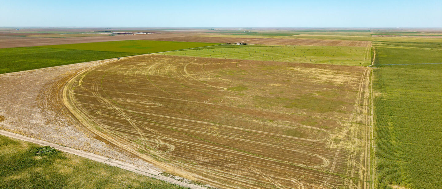 DJI 20250819132909 0259 D