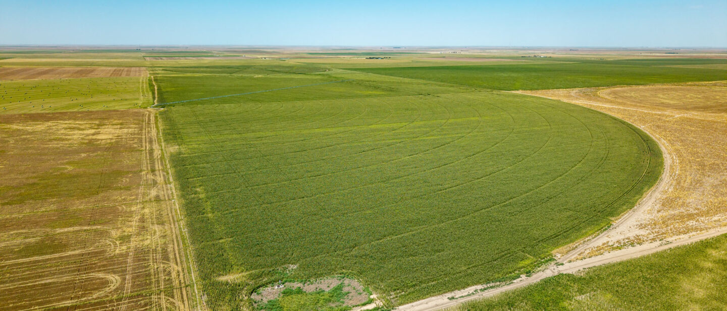 DJI 20250819132925 0261 D