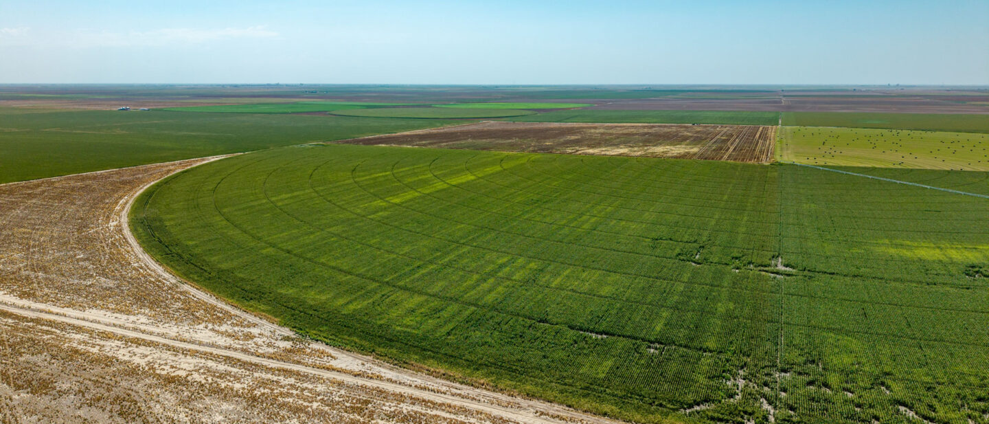 DJI 20250819133206 0268 D