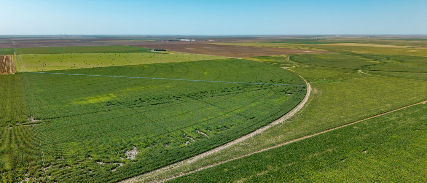 DJI 20250819133223 0271 D