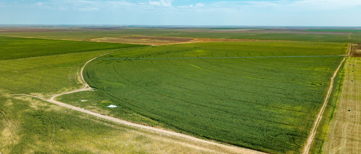 DJI 20250819133518 0279 D