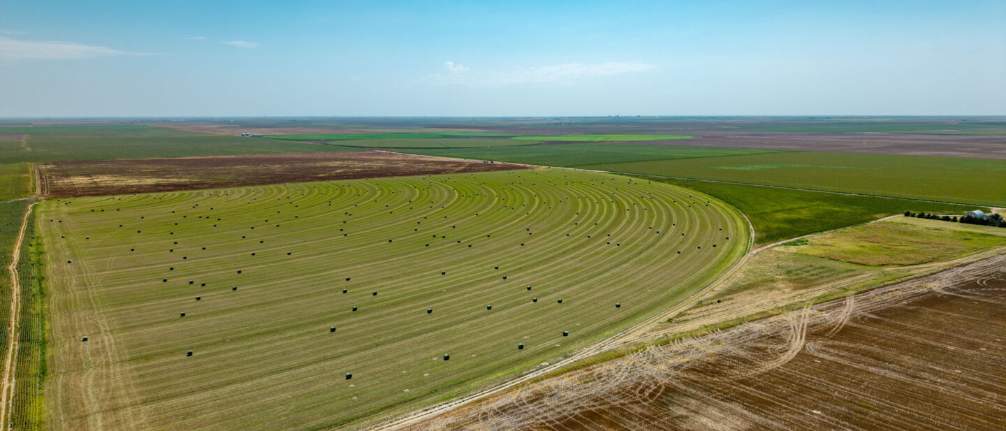 DJI 20250819133541 0283 D