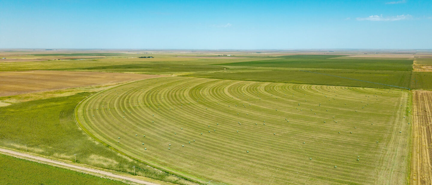 DJI 20250819133848 0290 D