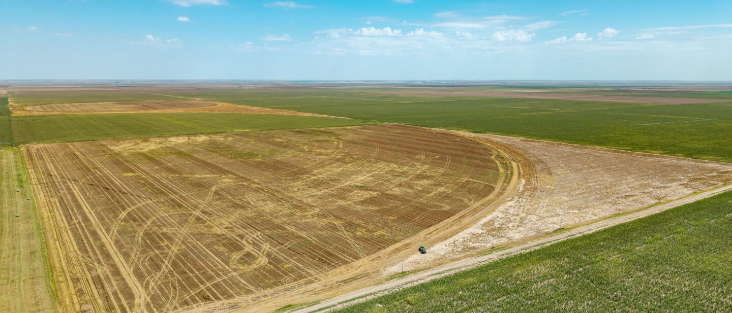 DJI 20250819133906 0293 D