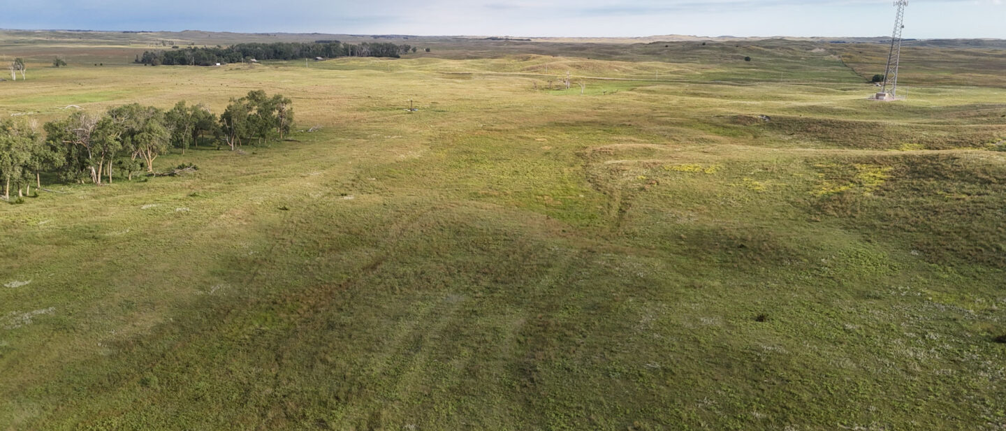 DJI 20250825083608 0978 D