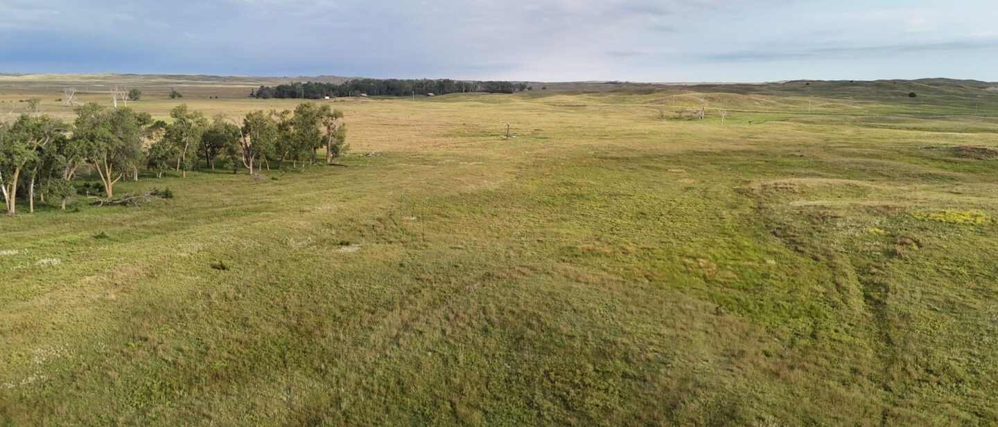 DJI 20250825083616 0979 D