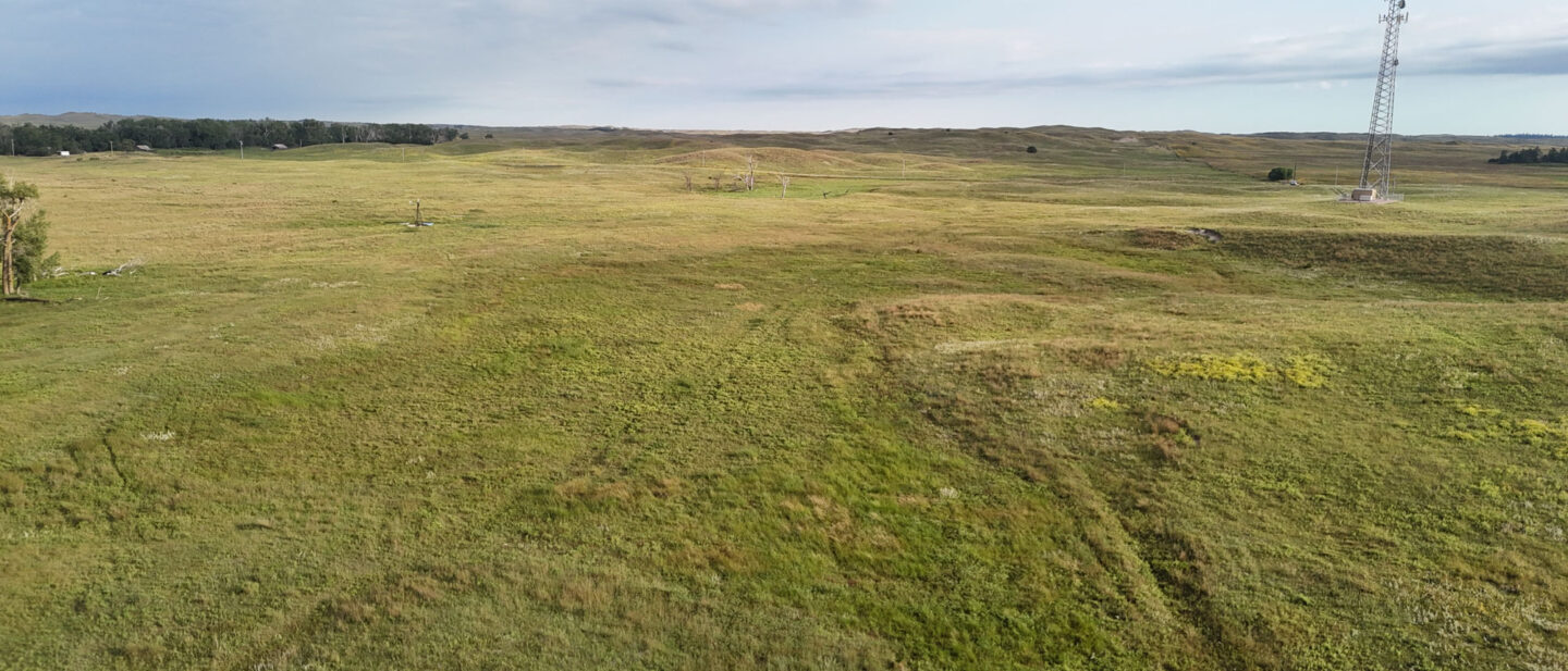 DJI 20250825083619 0980 D