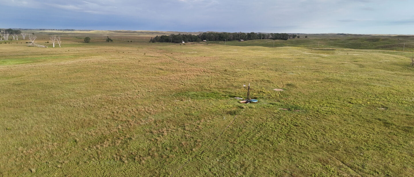 DJI 20250825083635 0981 D