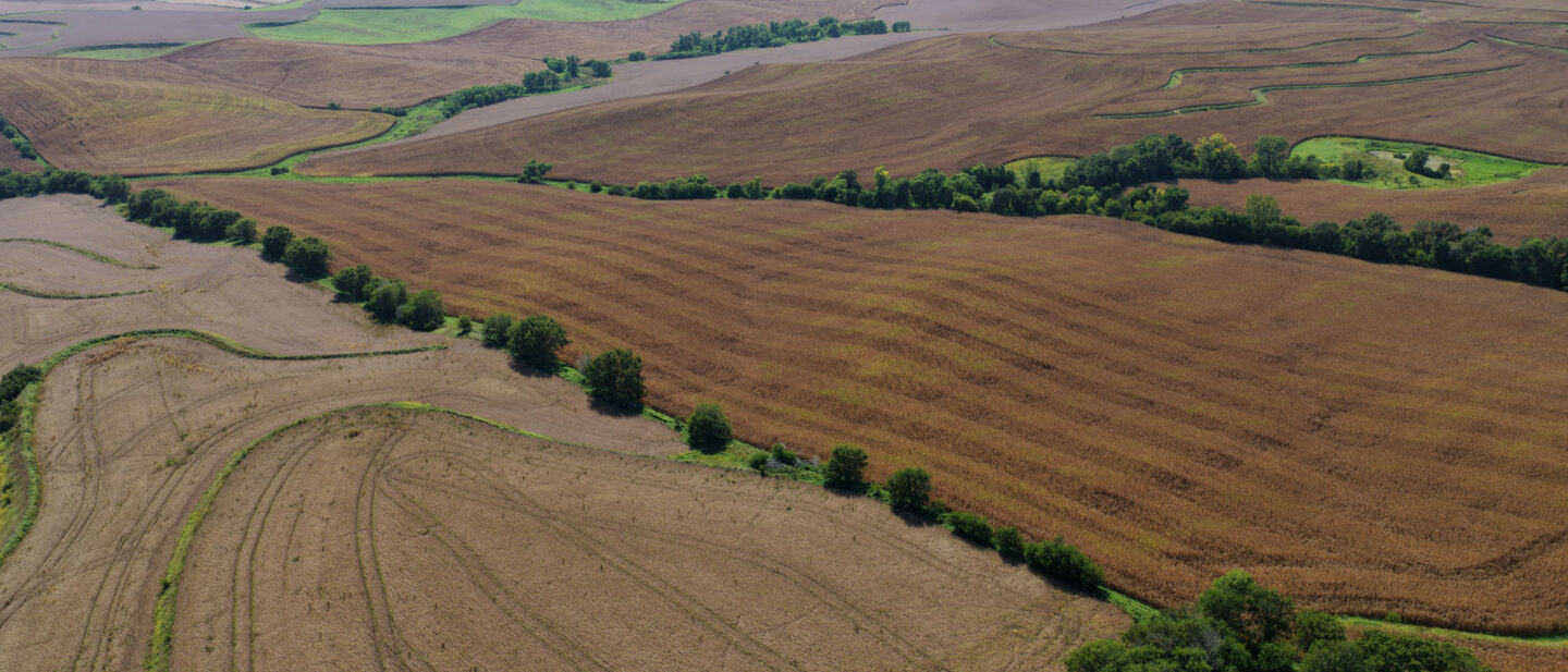 DJI 20250925145259 0073 D