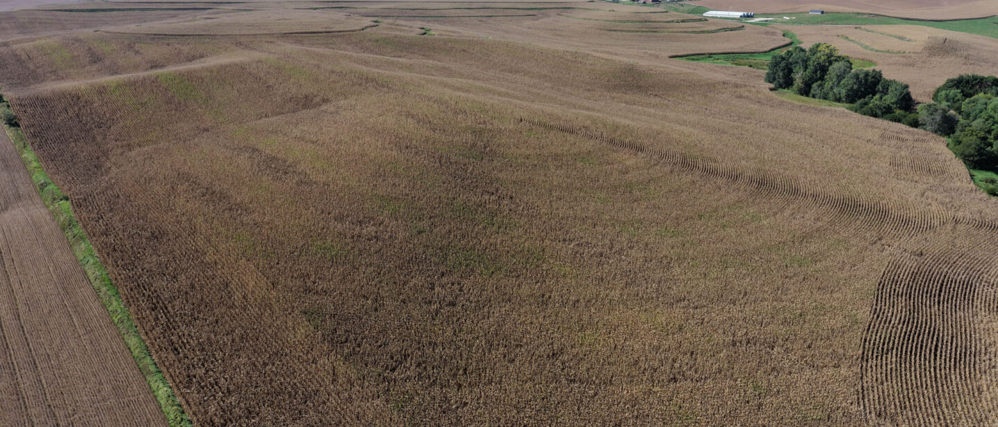 DJI 20250925151125 0095 D