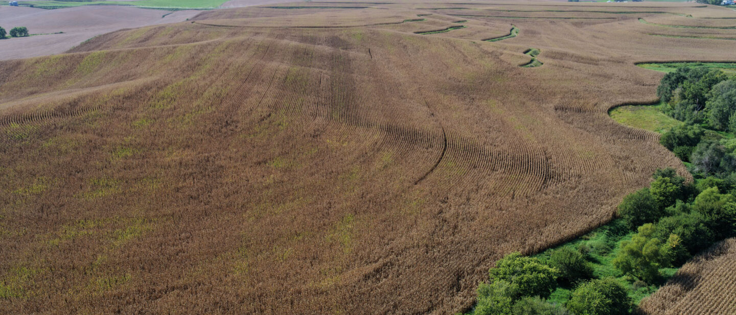 DJI 20250925151205 0097 D