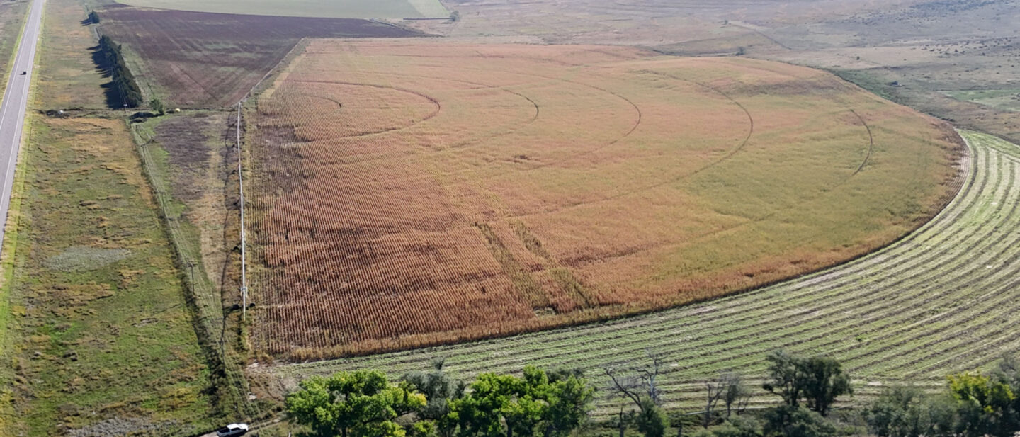 DJI 20250930102810 0129 D