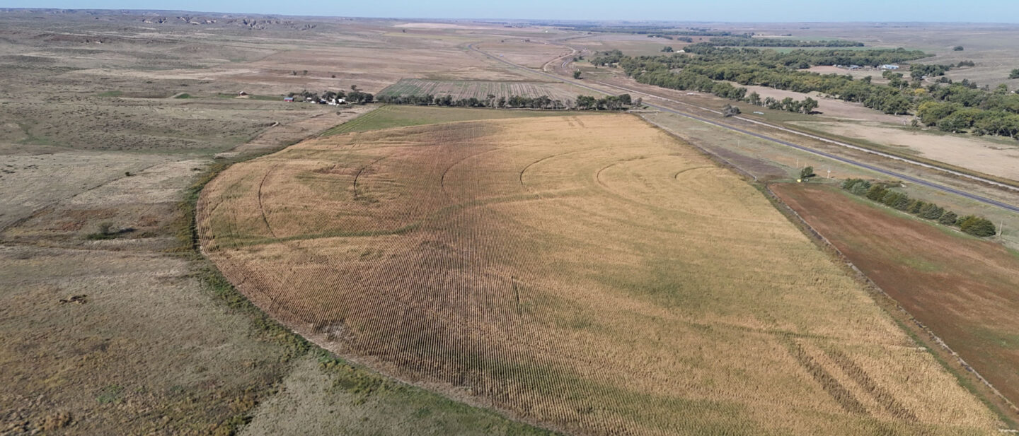 DJI 20250930103216 0141 D