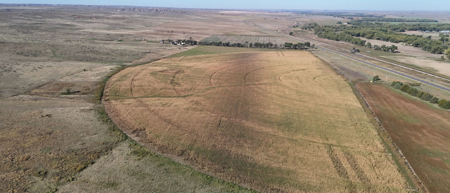 DJI 20250930103221 0142 D