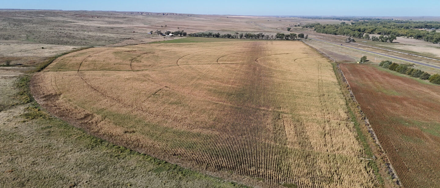 DJI 20250930103258 0144 D