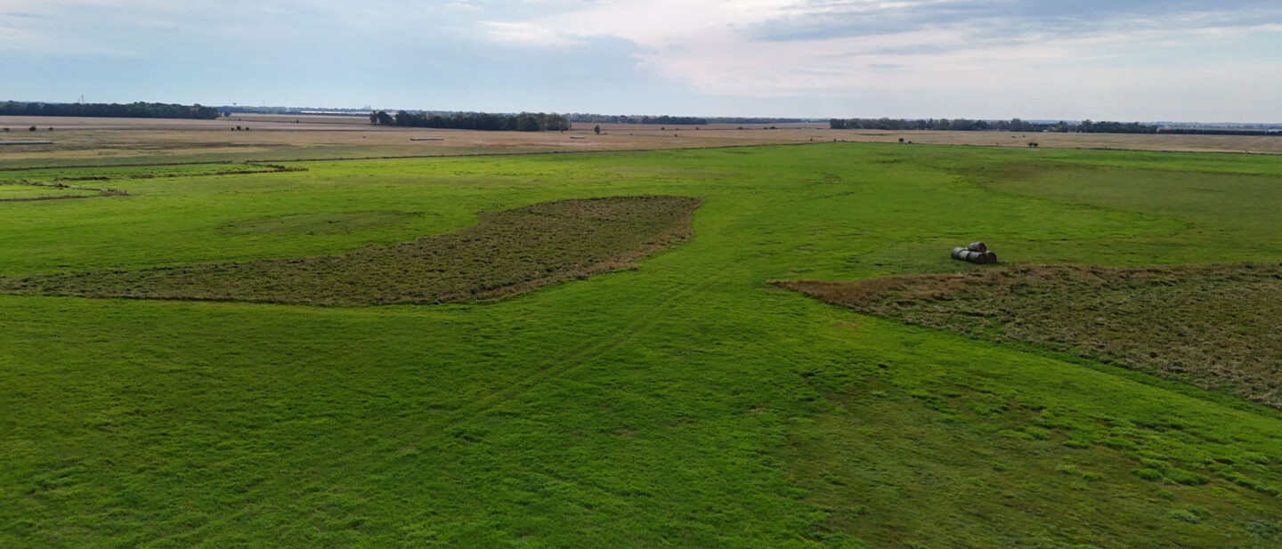 DJI 20251001111232 0158 D
