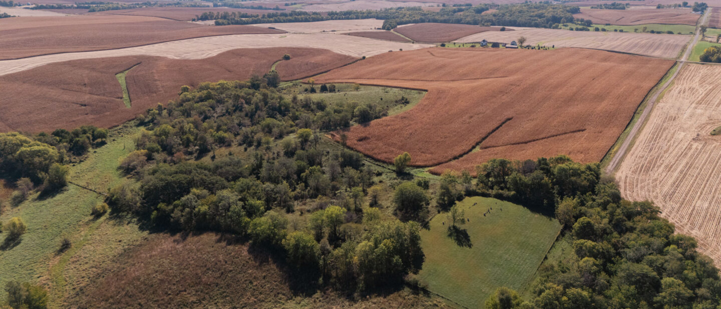 DJI 20251007114747 0032 D