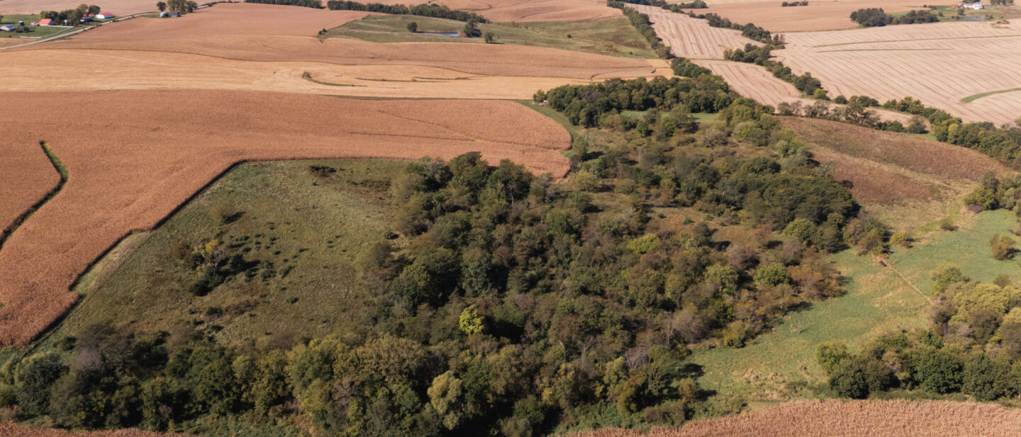 DJI 20251007115134 0037 D