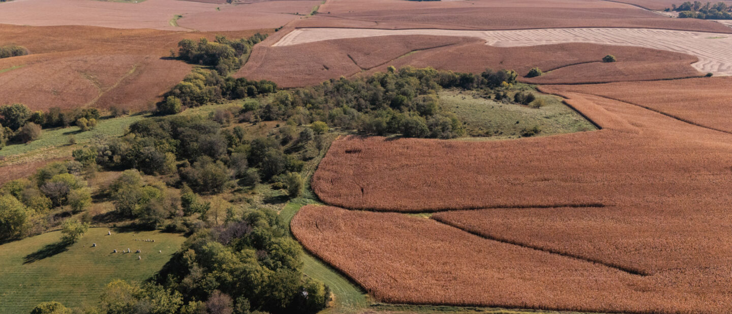 DJI 20251007115458 0040 D