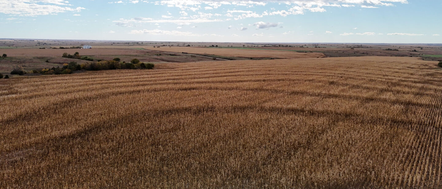 DJI 20251020111417 0223 D