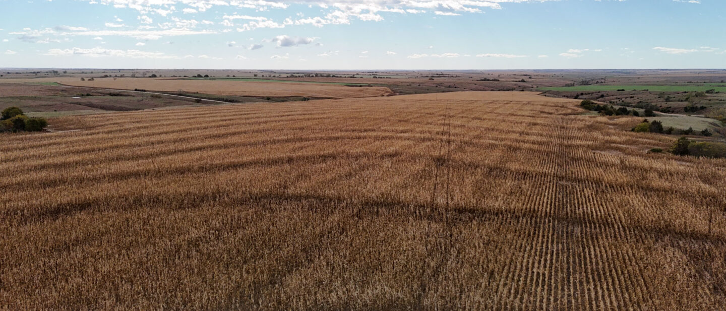 DJI 20251020111424 0224 D