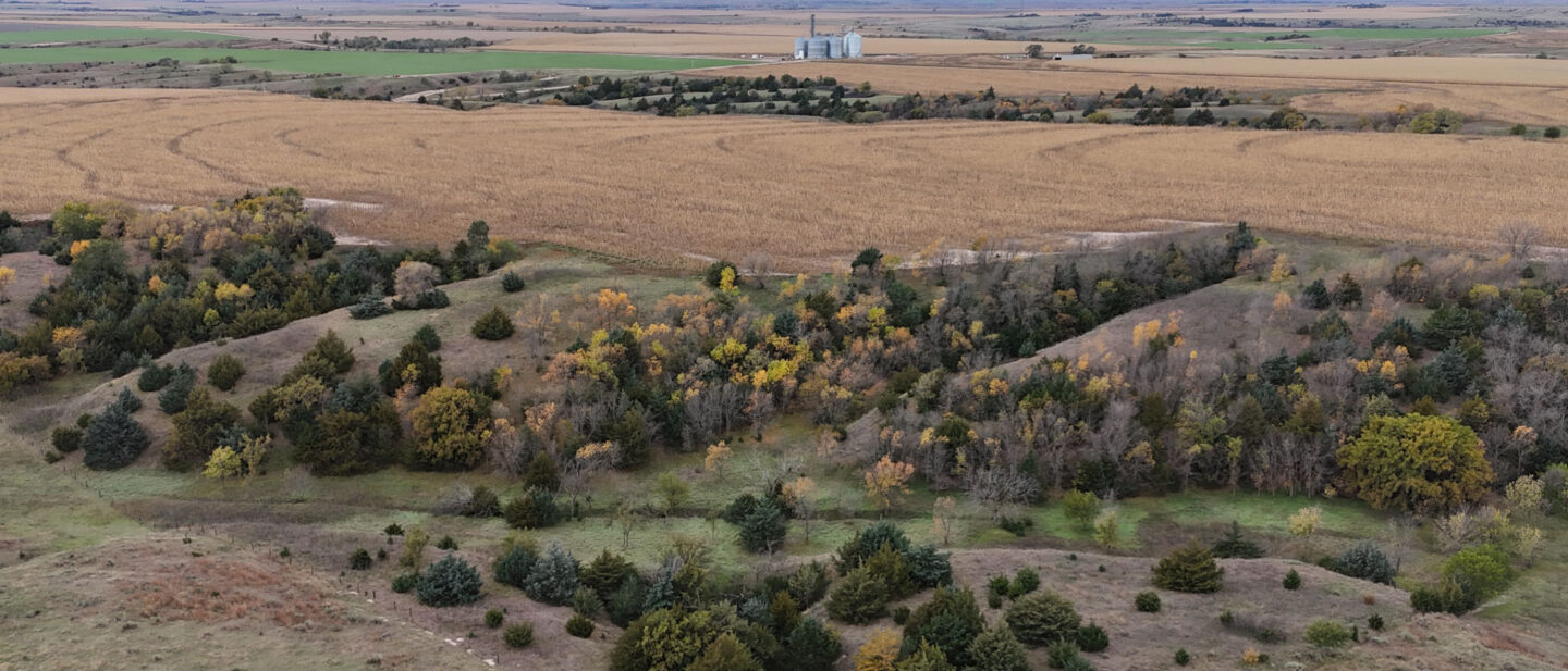 DJI 20251020111540 0225 D