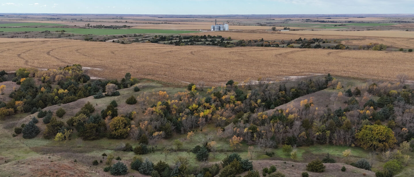 DJI 20251020111542 0226 D