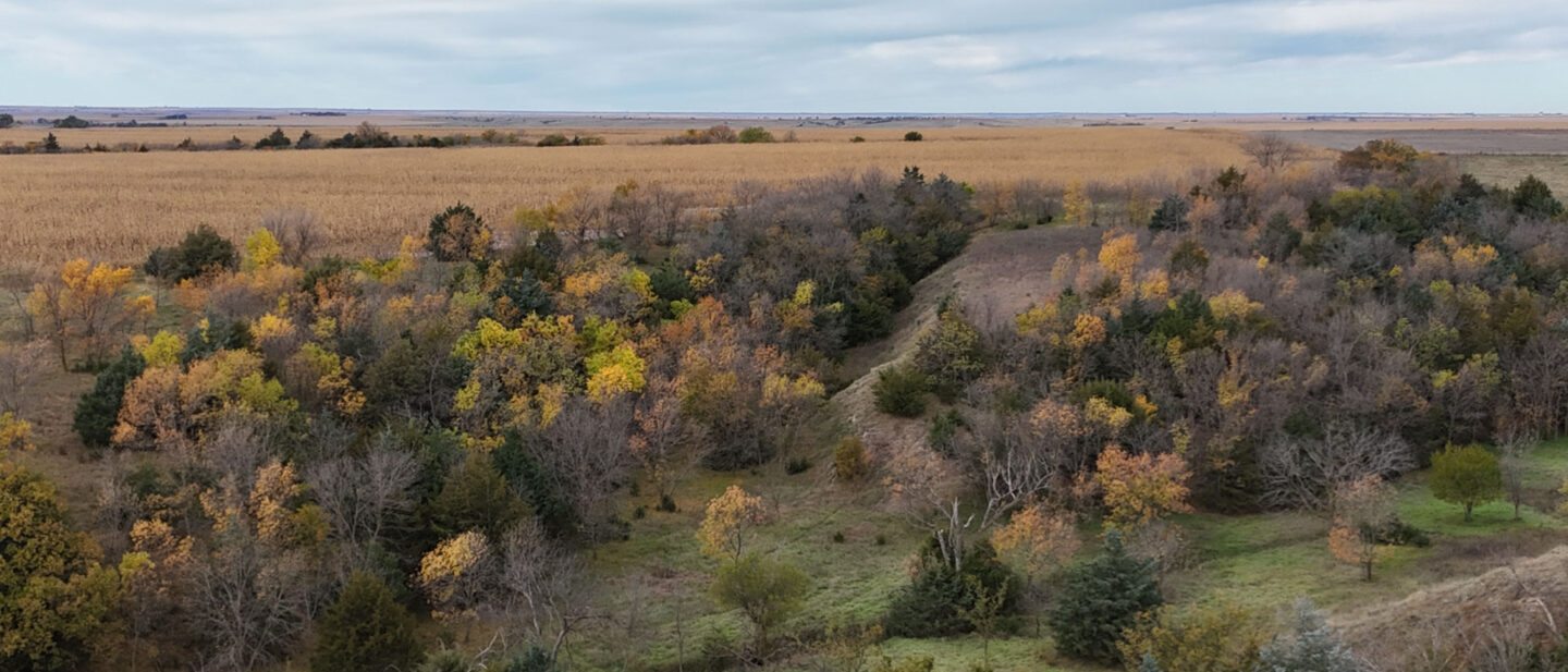 DJI 20251020111649 0227 D