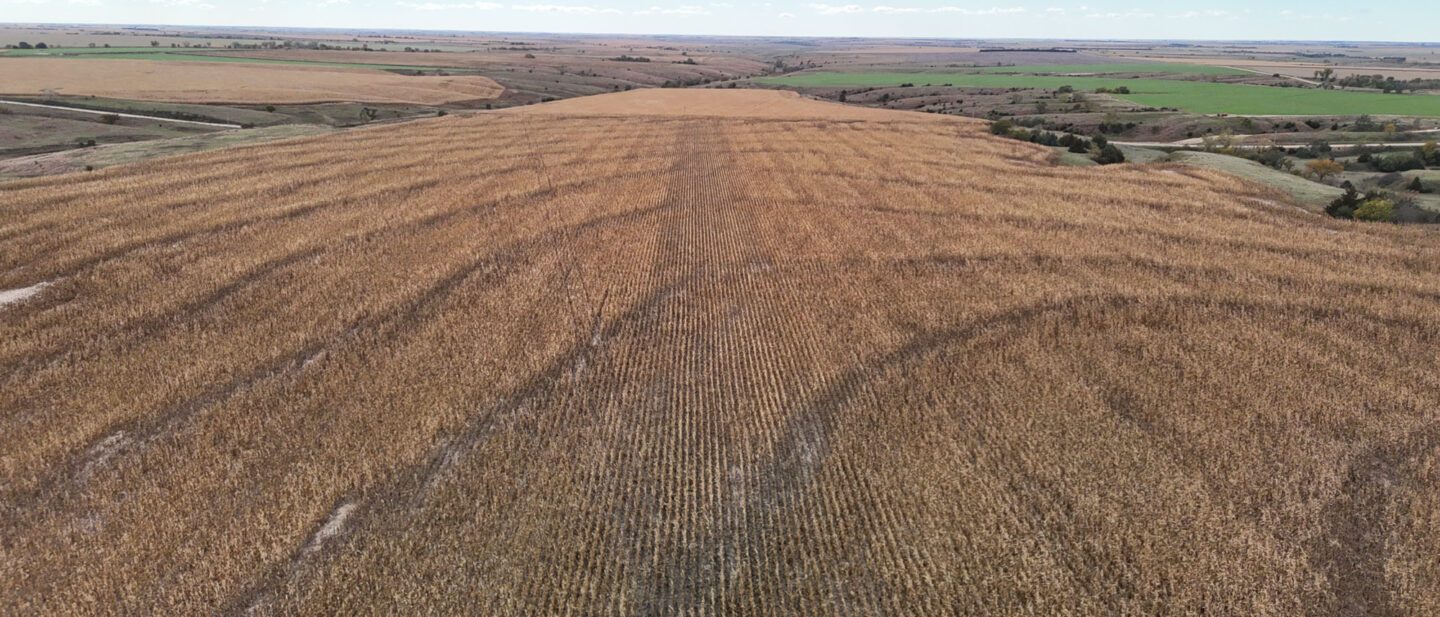 DJI 20251020111829 0228 D