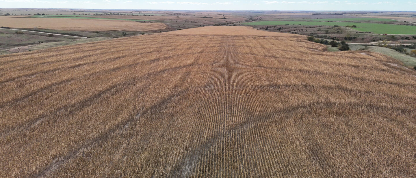 DJI 20251020111832 0229 D