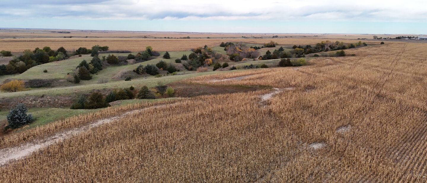 DJI 20251020112119 0231 D